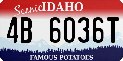 ID license plate 4B6036T