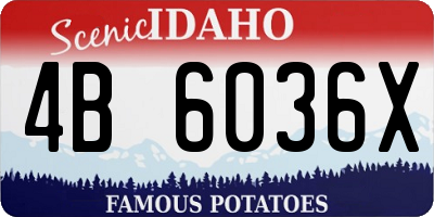 ID license plate 4B6036X