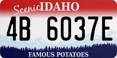 ID license plate 4B6037E