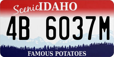 ID license plate 4B6037M