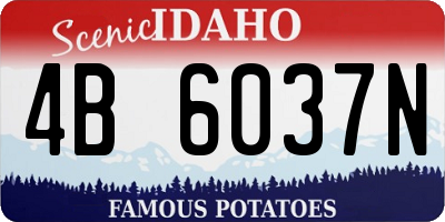ID license plate 4B6037N
