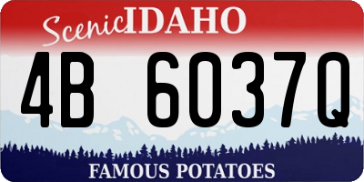 ID license plate 4B6037Q