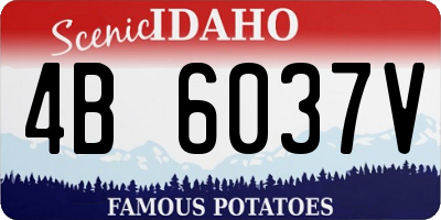 ID license plate 4B6037V