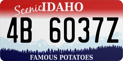 ID license plate 4B6037Z