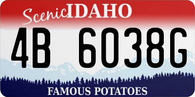 ID license plate 4B6038G