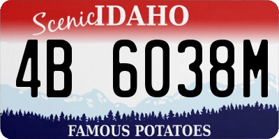 ID license plate 4B6038M