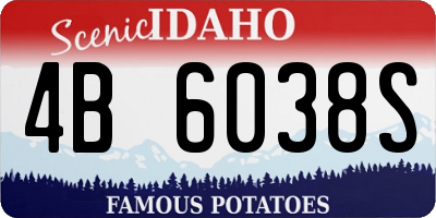 ID license plate 4B6038S