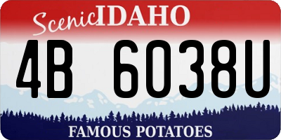 ID license plate 4B6038U