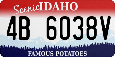 ID license plate 4B6038V