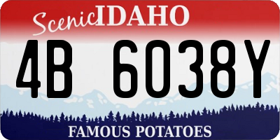 ID license plate 4B6038Y