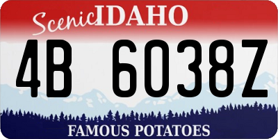 ID license plate 4B6038Z