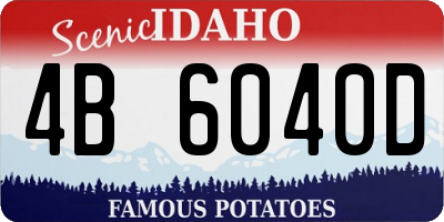 ID license plate 4B6040D