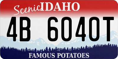 ID license plate 4B6040T