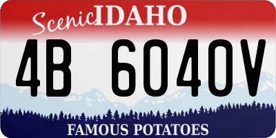ID license plate 4B6040V