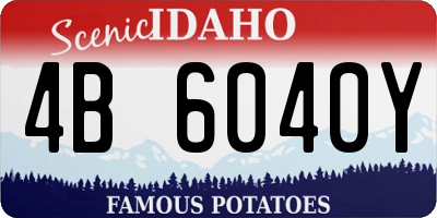 ID license plate 4B6040Y