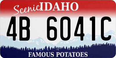 ID license plate 4B6041C