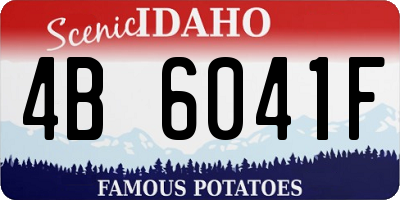 ID license plate 4B6041F