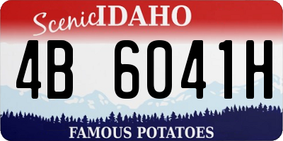 ID license plate 4B6041H