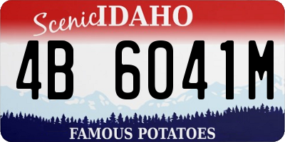 ID license plate 4B6041M