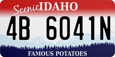 ID license plate 4B6041N