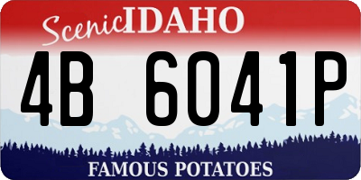 ID license plate 4B6041P