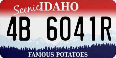 ID license plate 4B6041R