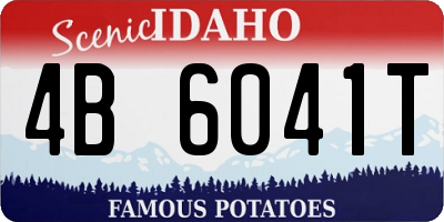 ID license plate 4B6041T