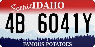ID license plate 4B6041Y