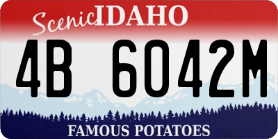 ID license plate 4B6042M