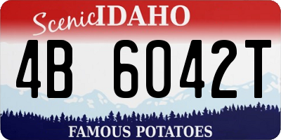 ID license plate 4B6042T