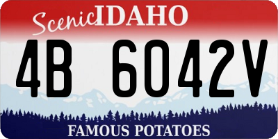 ID license plate 4B6042V
