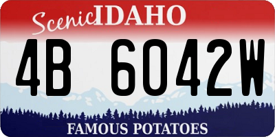 ID license plate 4B6042W