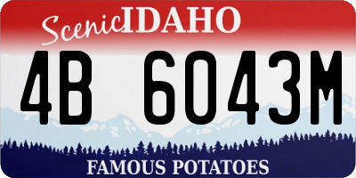 ID license plate 4B6043M