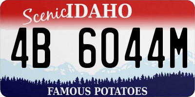 ID license plate 4B6044M