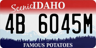ID license plate 4B6045M