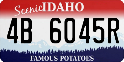 ID license plate 4B6045R