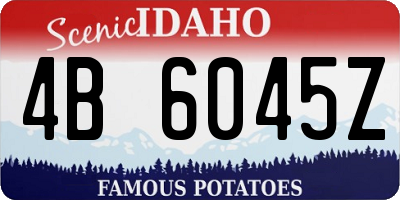 ID license plate 4B6045Z