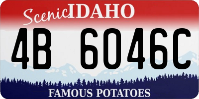 ID license plate 4B6046C