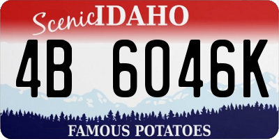 ID license plate 4B6046K
