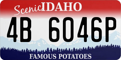 ID license plate 4B6046P