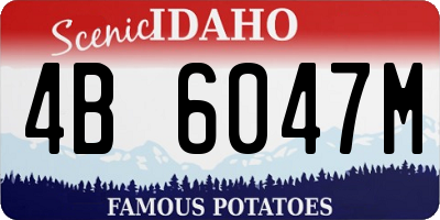 ID license plate 4B6047M