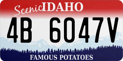 ID license plate 4B6047V