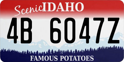ID license plate 4B6047Z