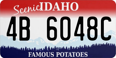ID license plate 4B6048C