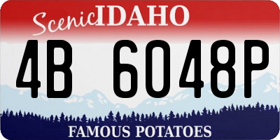 ID license plate 4B6048P
