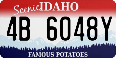ID license plate 4B6048Y