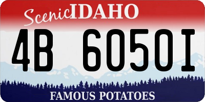 ID license plate 4B6050I