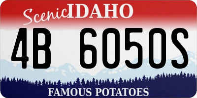 ID license plate 4B6050S