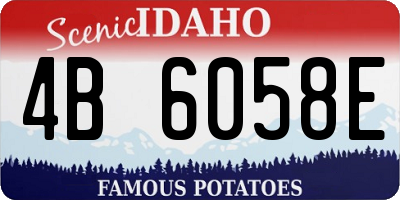 ID license plate 4B6058E