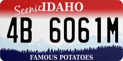 ID license plate 4B6061M